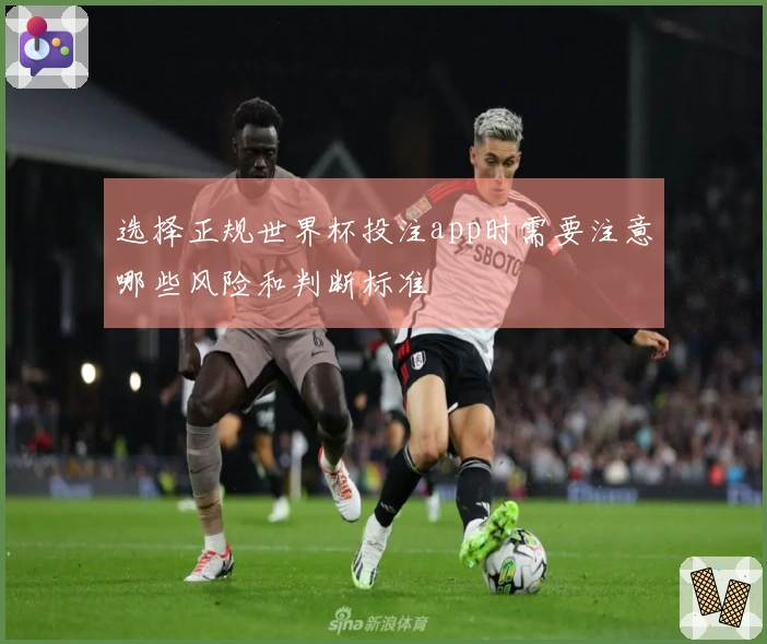 选择正规世界杯投注app时需要注意哪些风险和判断标准