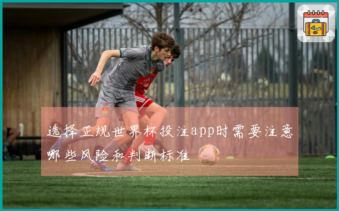 选择正规世界杯投注app时需要注意哪些风险和判断标准