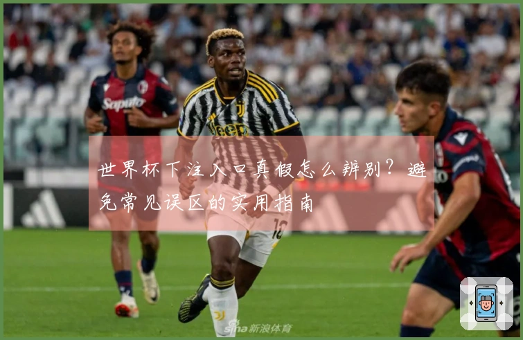 世界杯下注入口真假怎么辨别？避免常见误区的实用指南